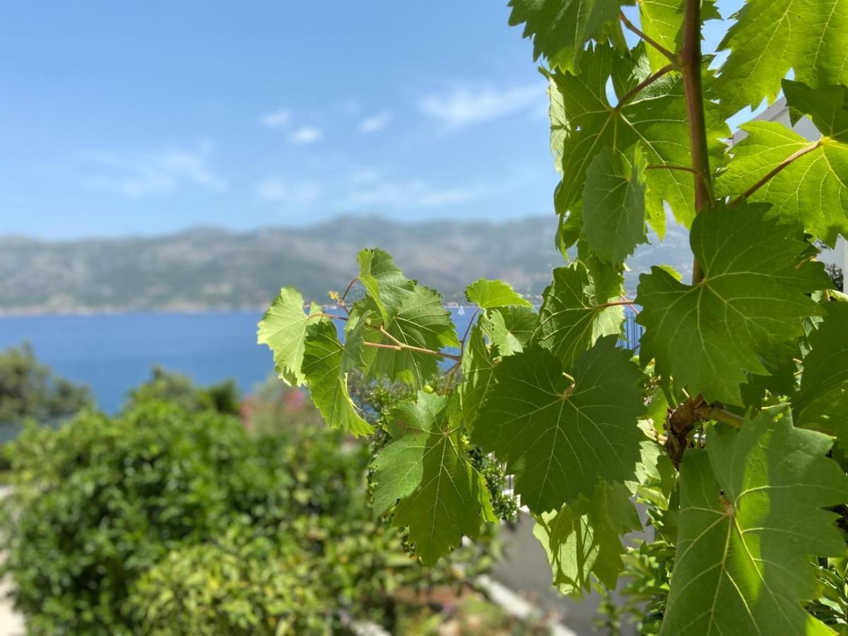 Apartments Tri Zala Zrnovo Εξωτερικό φωτογραφία